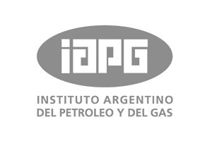 Cliente Instituto Argentino del Petróleo y del Gas